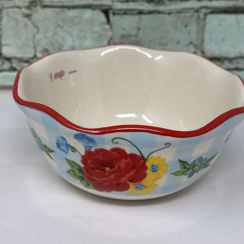 Pioneer Woman SWEET ROMANCE 1 Cup Measuring REPLACEMENT Red Rim Blue Gingham